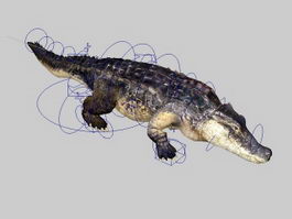 Animated Alligator Rig 3d preview