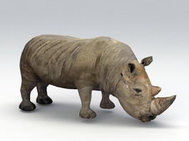 Black Rhino 3d model preview