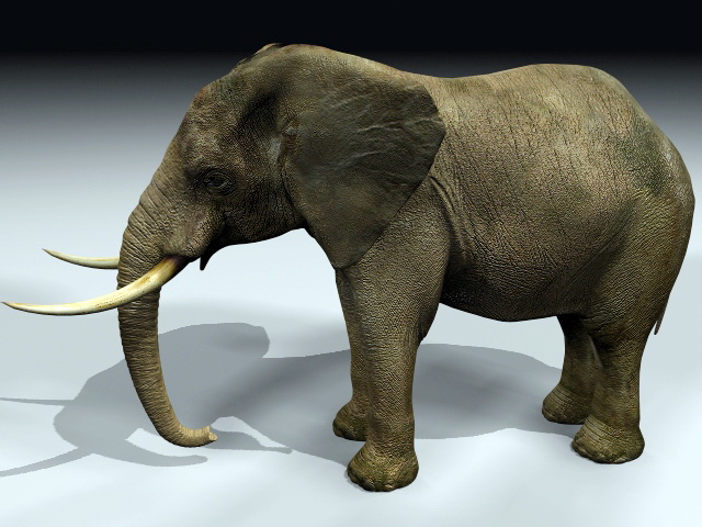 Massive Elephant 3d rendering