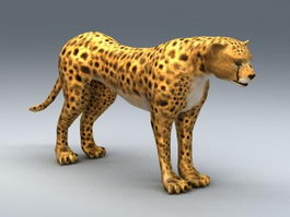 African Cheetah 3d model preview