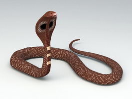 Brown Cobra Snake 3d preview