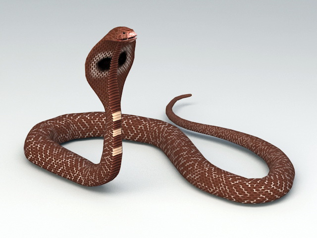 Cobra 3d. Коричневая змея. Коричневая Кобра. Королевская коричневая змея. Коричневые змеи.