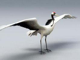 Red Crane Bird 3d model preview