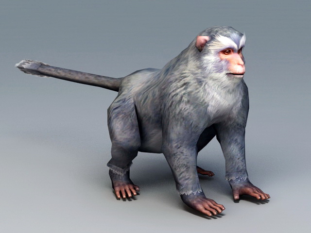 Gray Monkey 3d model 3ds Max files free download