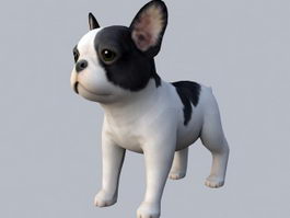 French Bulldog Puppy 3d model preview