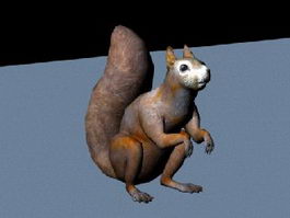 Fox Squirrel 3d model preview