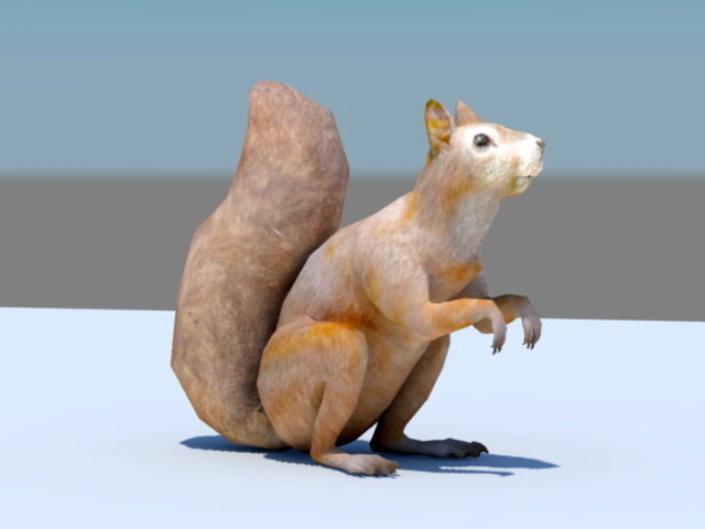 Fox Squirrel 3d rendering