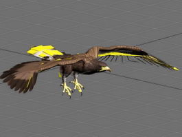 Flying Eagle Animation 3d model preview