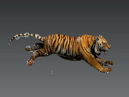 Tiger 3D Models download - Free3D