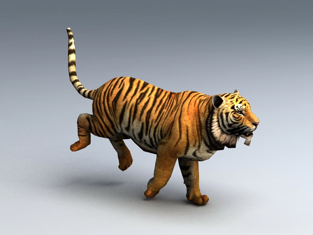 Animated Tiger Rig 3d rendering