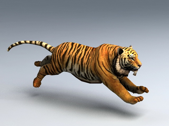 Toon Tigre 3D Model by mrichkhalid