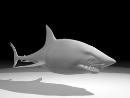 Cartoon Shark 3d model preview