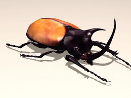 Rhinoceros Beetle 3d preview