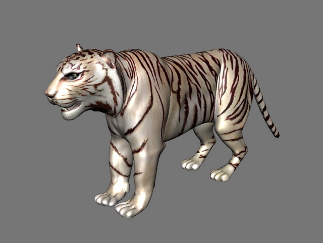 White Tiger Rigged 3d rendering