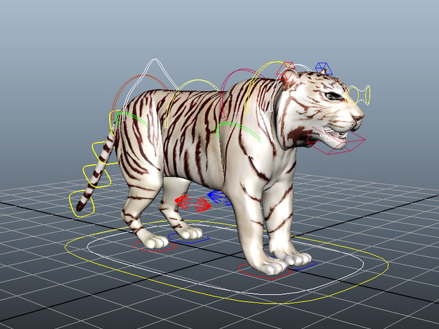 White Tiger Rigged 3d rendering