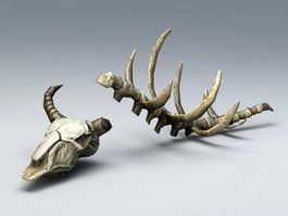 Animal Bones 3d model preview