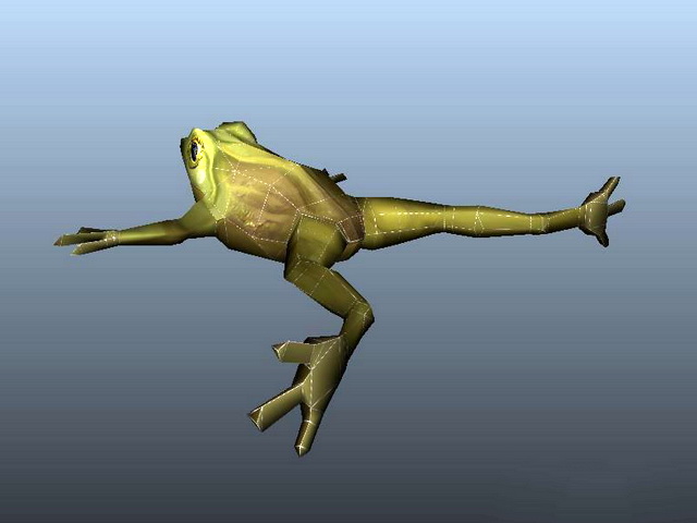 Green Frog 3d rendering