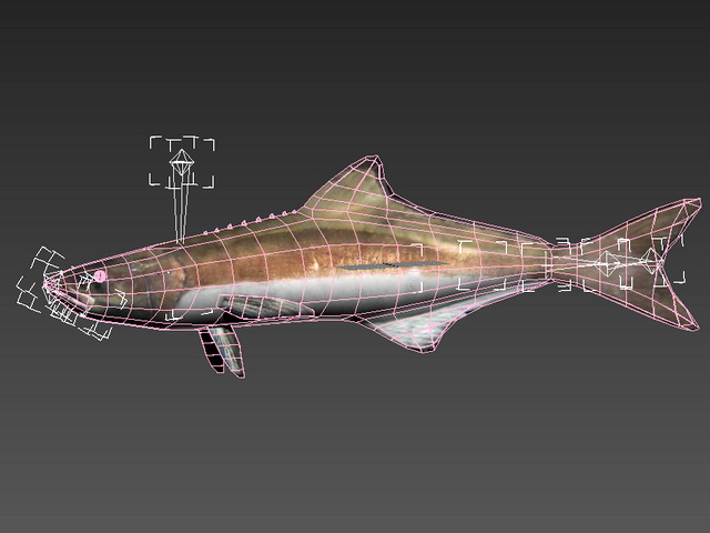 Animated Cobia Fish Rig 3d rendering