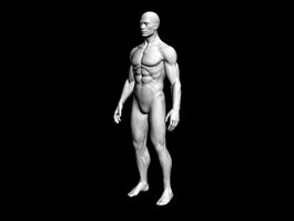 Full Male Body 3d model preview