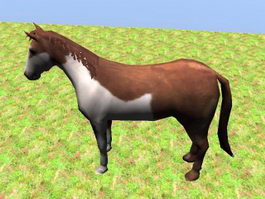 Pinto Horse Rig 3d model preview
