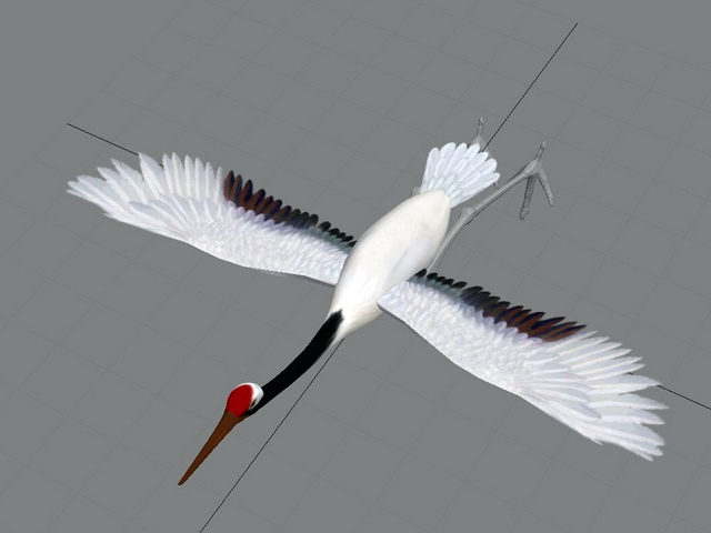Crane Animal Animation 3d rendering