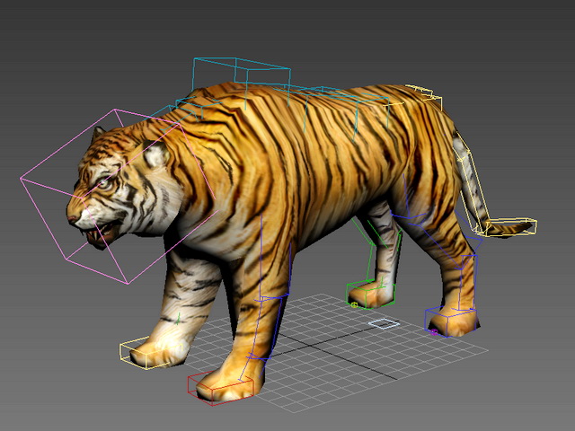 Tiger 3d model - Rigged, with Fur