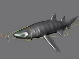 Tiger Shark Rig 3d model preview