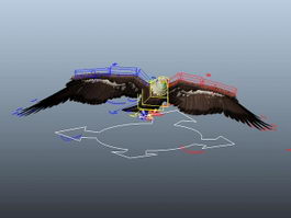 Eagle Animation Rig 3d model preview