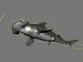 Hammerhead Shark 3d model preview
