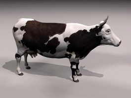 Dairy Cow 3d model preview