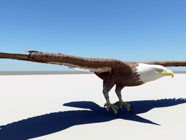 Bald Eagle Rig 3d rendering