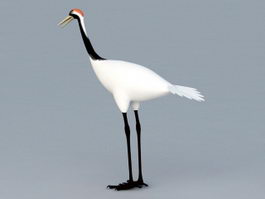 Chinese Crane Bird 3d preview