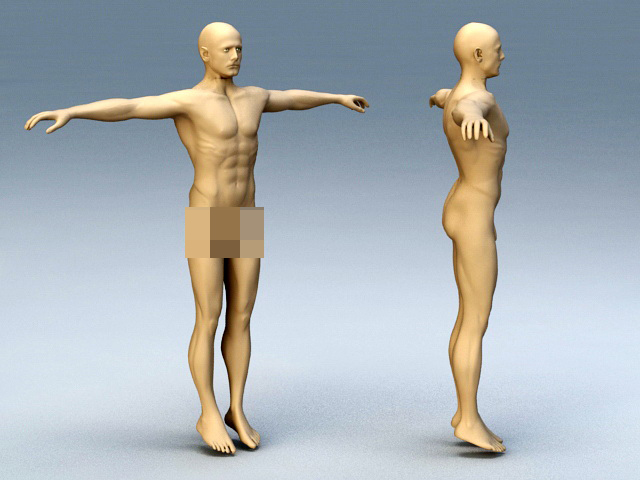 Adult Man Body 3d rendering