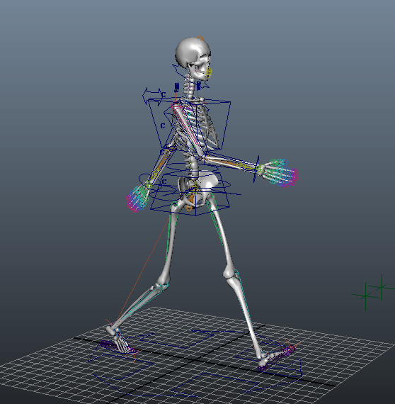Animated Female Skeleton Rig 3d rendering