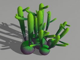 Euphorbia Oncoclada 3d model preview