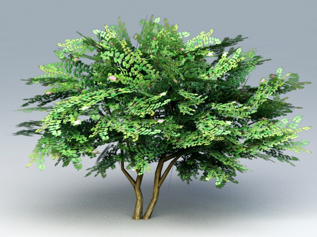 Hibiscus Tree 3d rendering