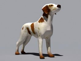 Boxer Great Dane 3d model preview