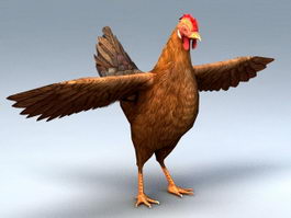 Hen Female Chicken 3d model preview