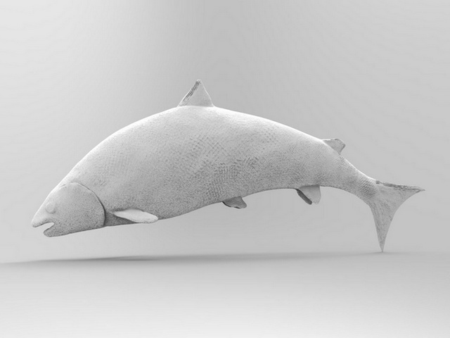Salmon Fish 3d rendering