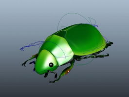 Green Beetle Rig 3d preview