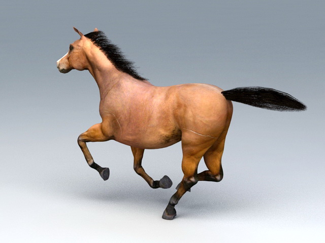 Western Horse 3D | CGTrader