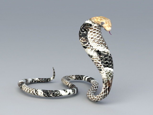cobra snake 3d model free download