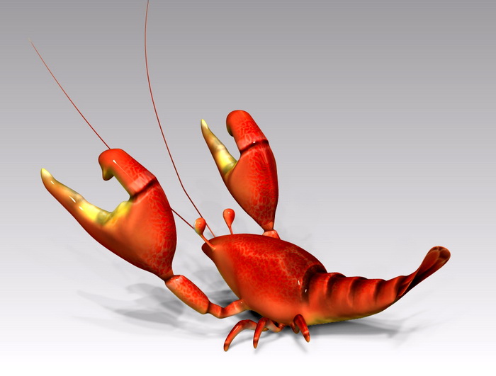 Cute Cartoon Lobster 3d model - CadNav