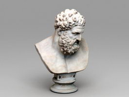 Roman Bust Hercules 3d preview