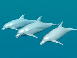 Three Dolphins 3d preview