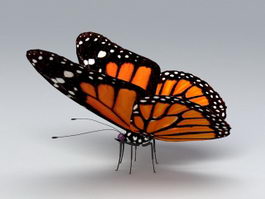 Download Butterfly 3d Model Free Download Cadnav