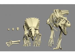 Dinosaur Bones 3d model preview