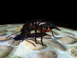 Black Bug 3d model preview