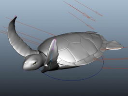Sea Turtle Rig 3d preview
