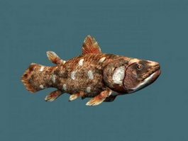Actinistia Fish 3d model preview